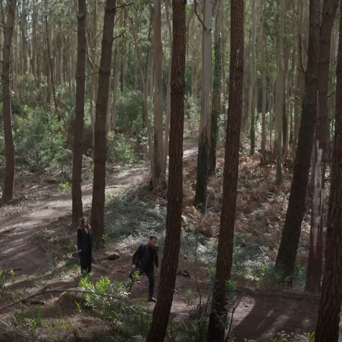 Luís mata um homem para proteger Micá numa floresta