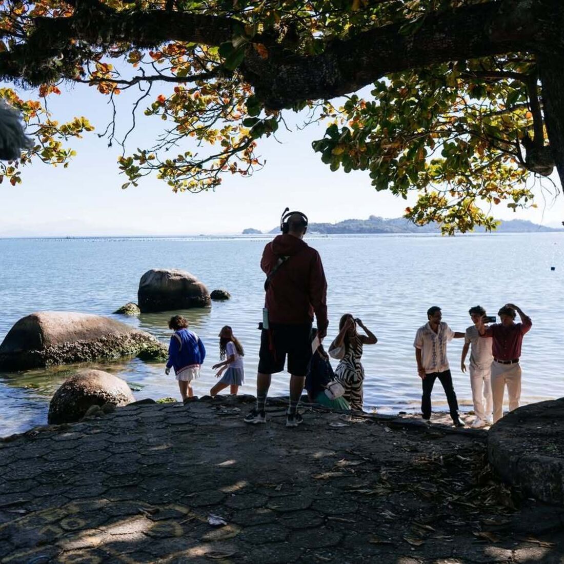 Nova novela da TVI, Terra Forte
