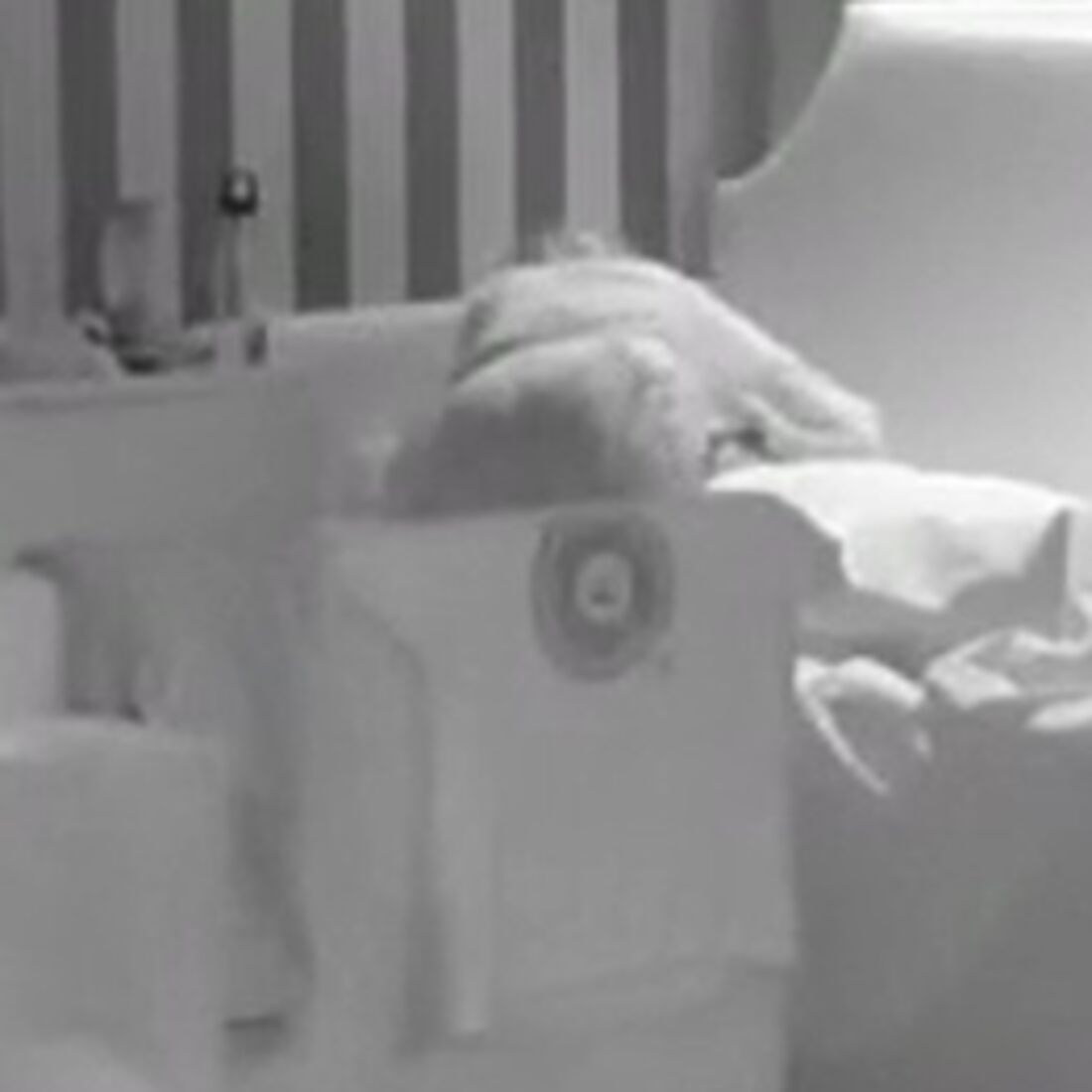 Afonso Leitão e Catarina Miranda juntos. Fábio Paim e Viriato atentos