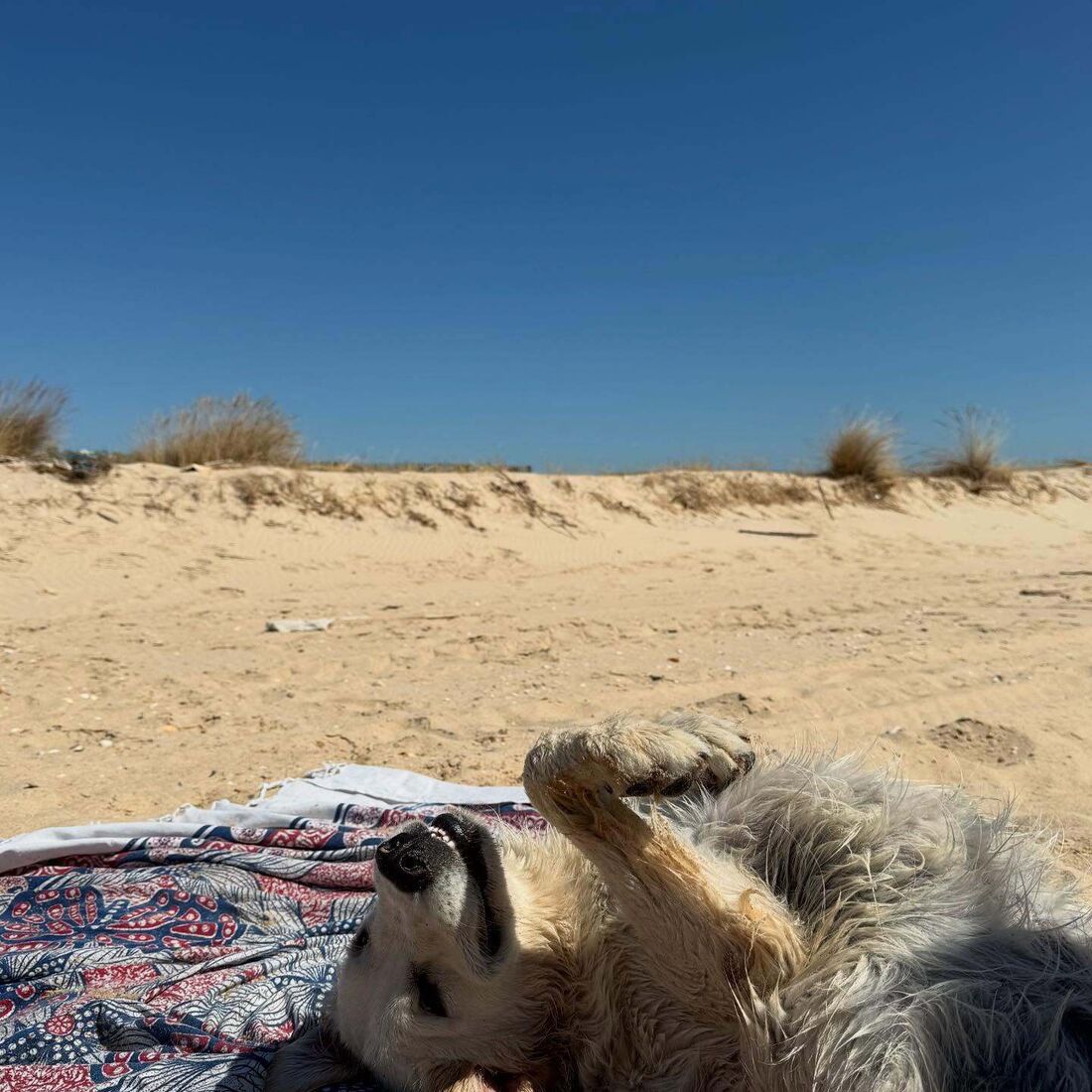 João Neves e Madalena Aragão desfrutam de férias românticas em Tavira e Bora Bora