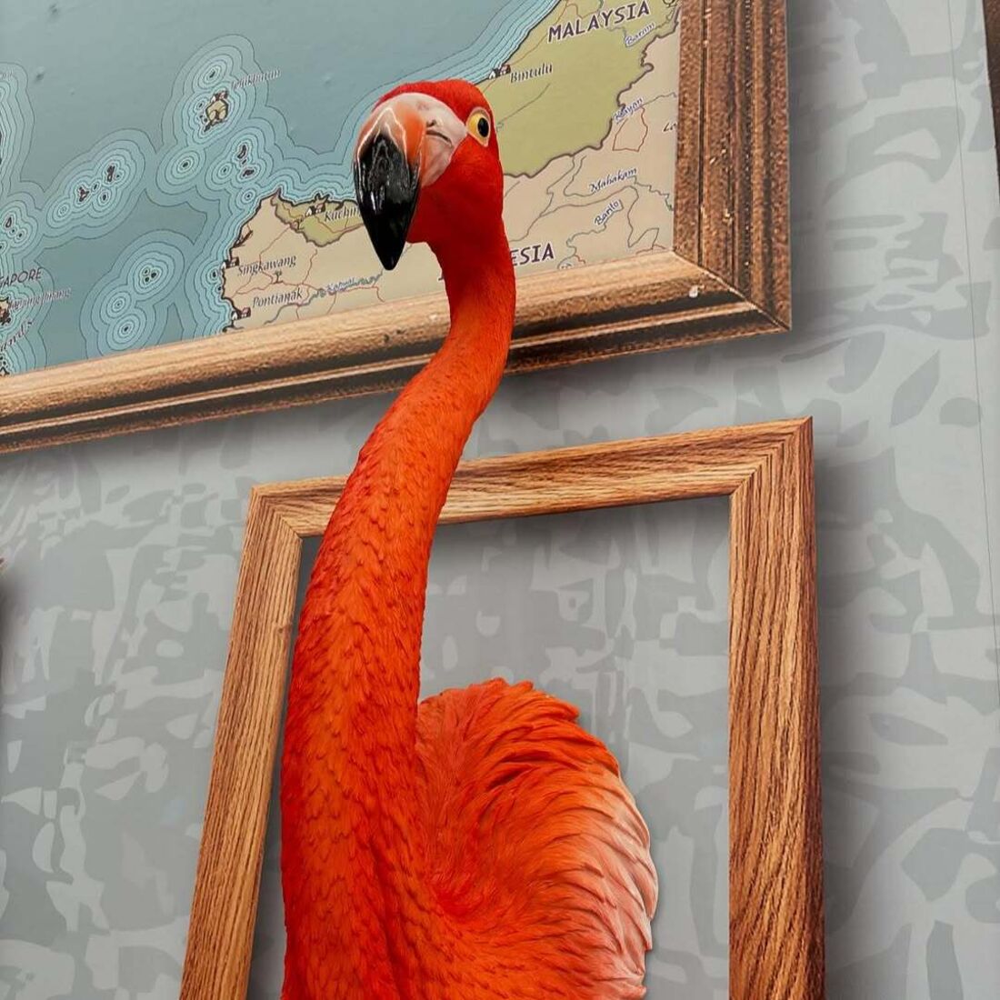 Imagens da nova casa da 'Casa dos Segredos'