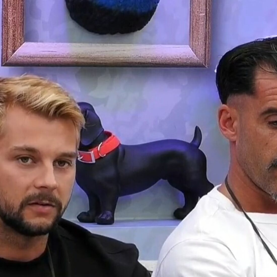 Dylan Fonte, Bruno Simão