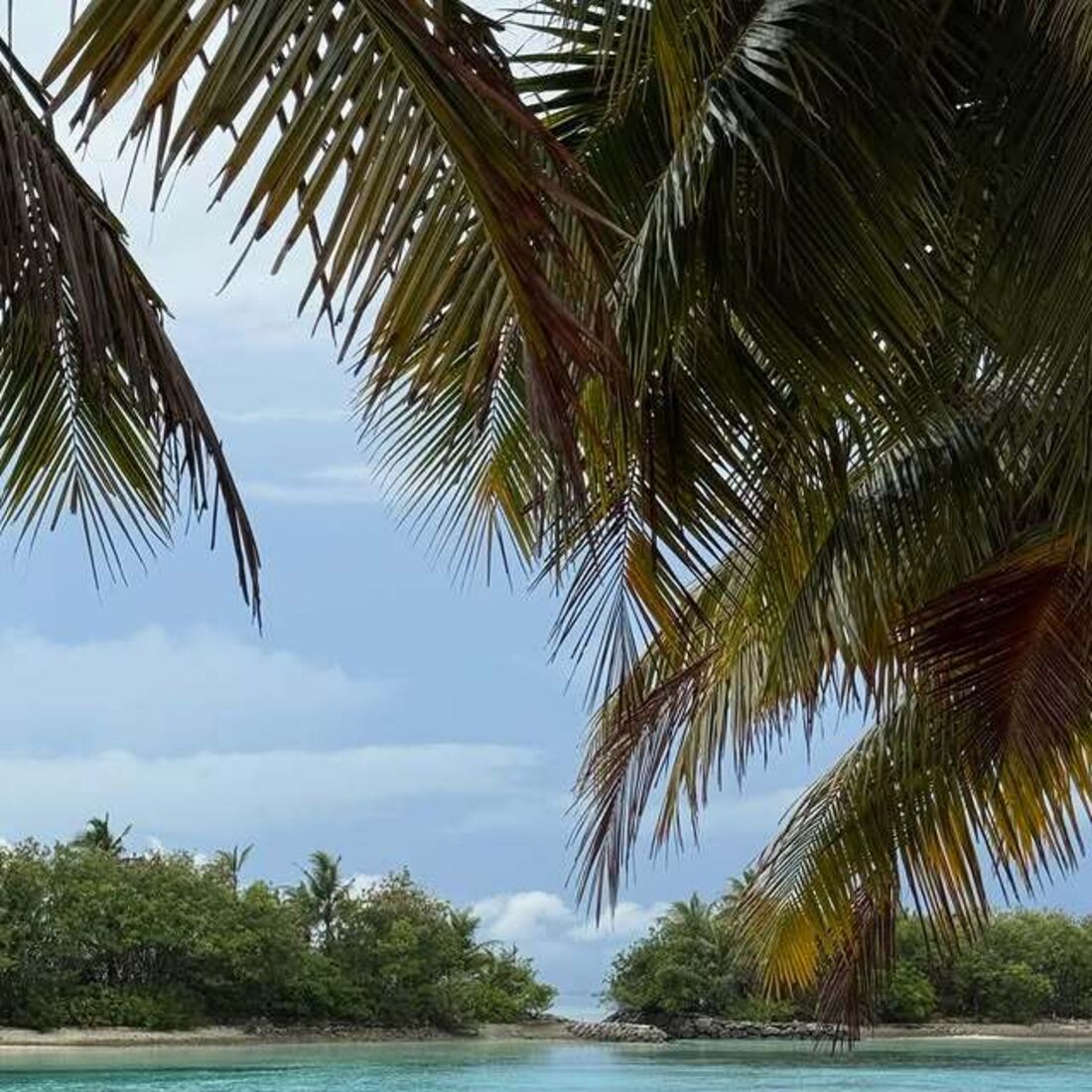 Maria Botelho Moniz nas Madlivas