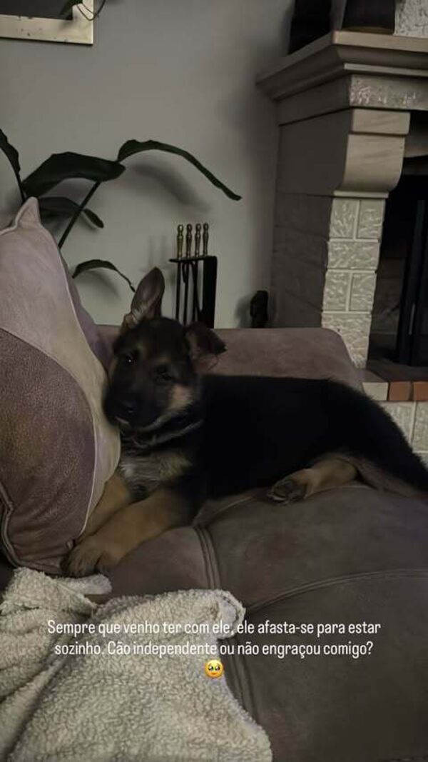 Cão, Bárbara Parada, Francisco Monteiro