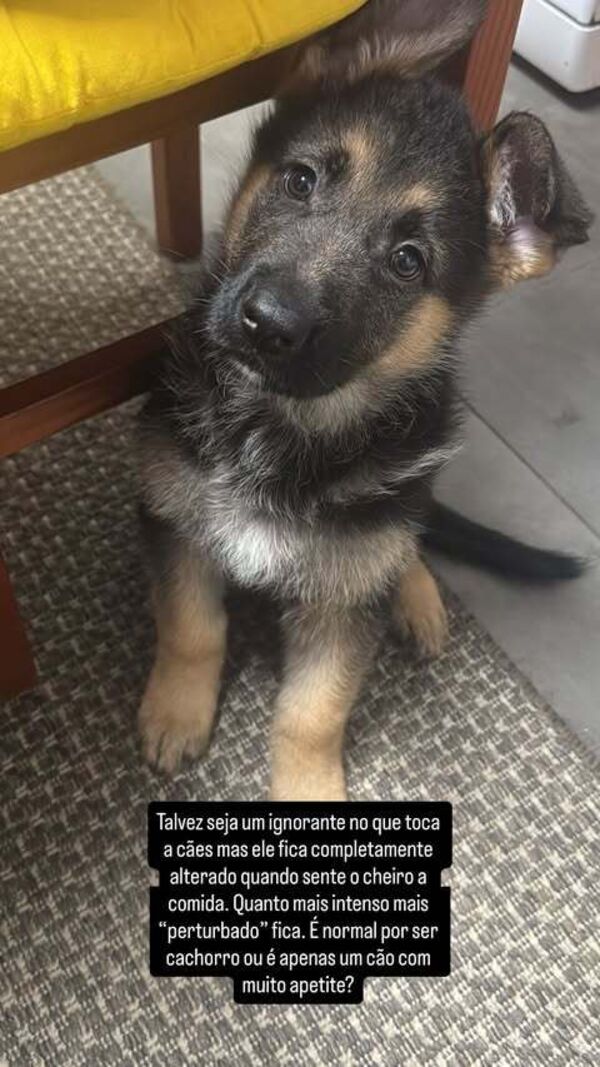 Cão, Bárbara Parada, Francisco Monteiro