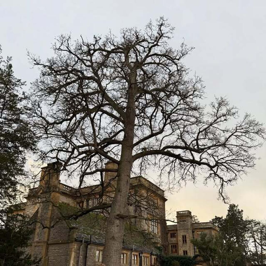 Cristina Ferreira na viagem das avós