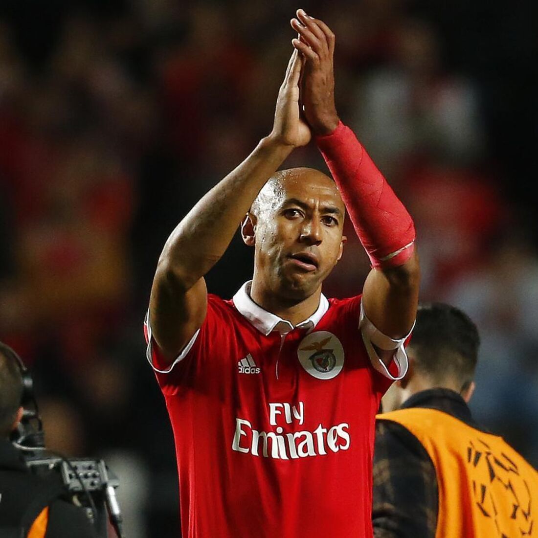 Luisão, Benfica