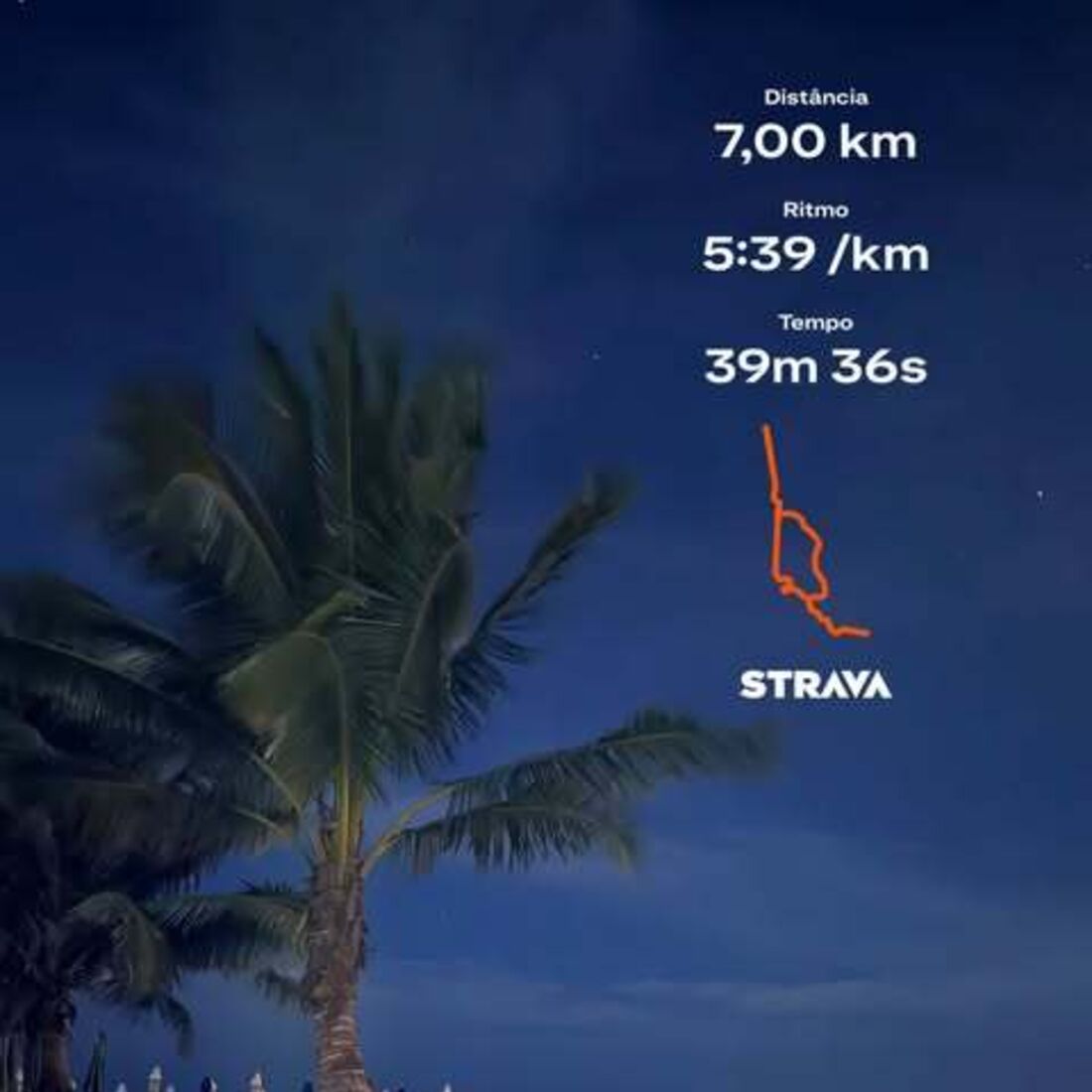 Rute Cardoso, corrida