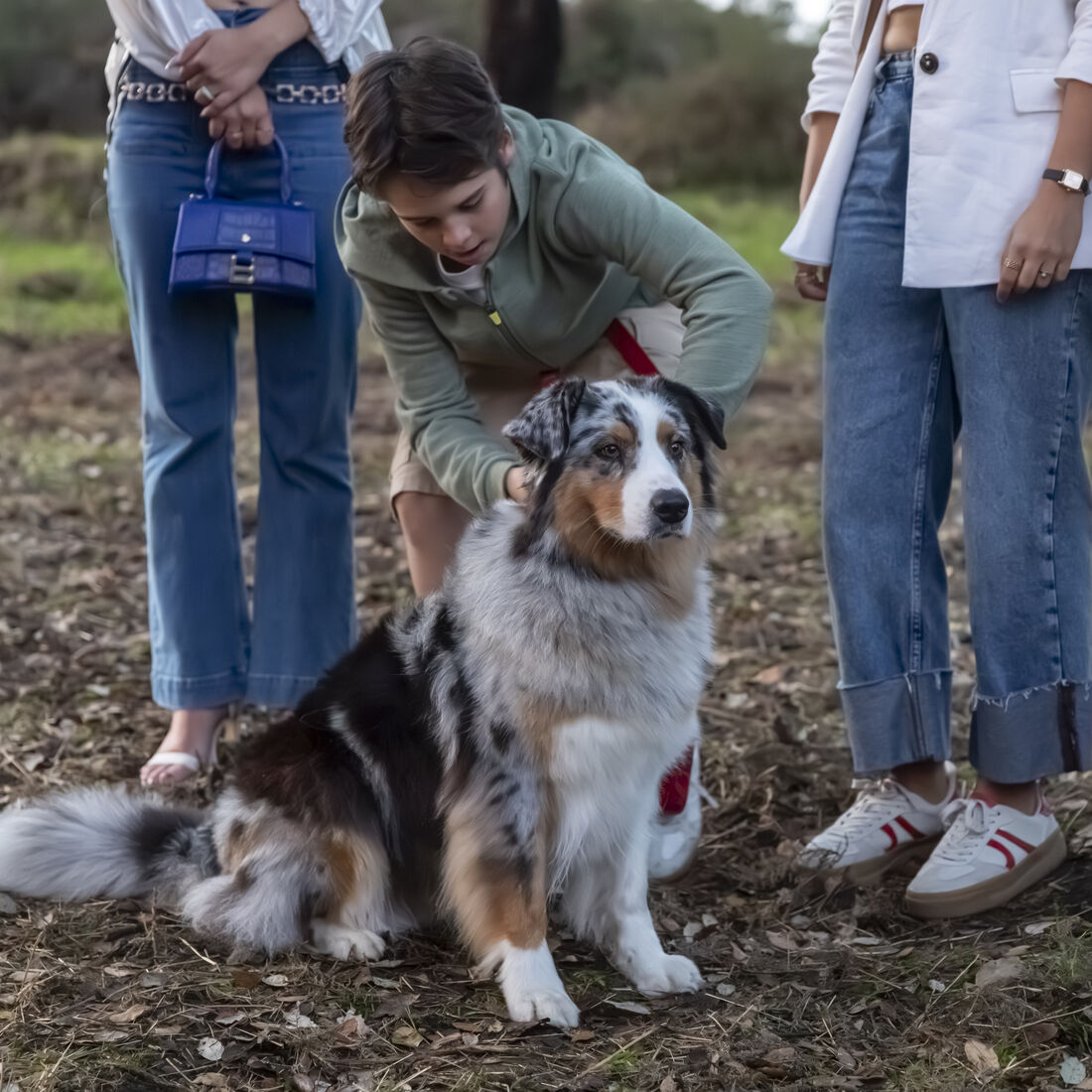 Vicente Ramirez, Gustavo Alves, Melissa Matos, Josefine Winkler