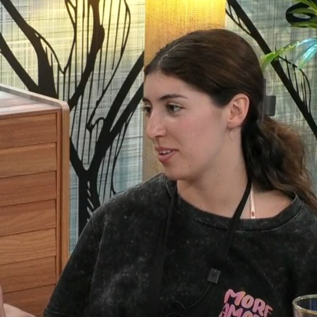 Ariana, Casa dos Segredos