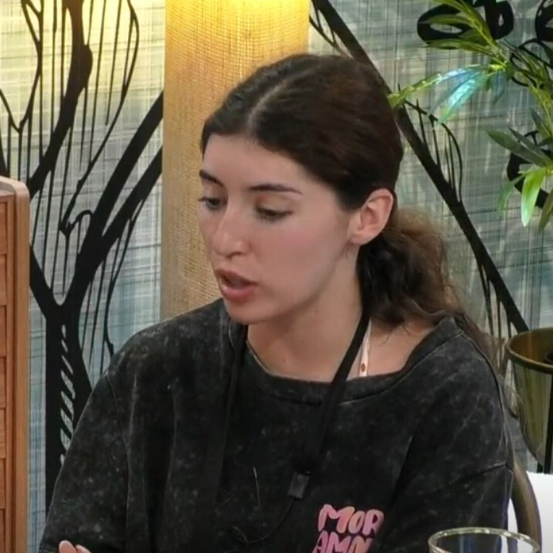 Ariana, Casa dos Segredos