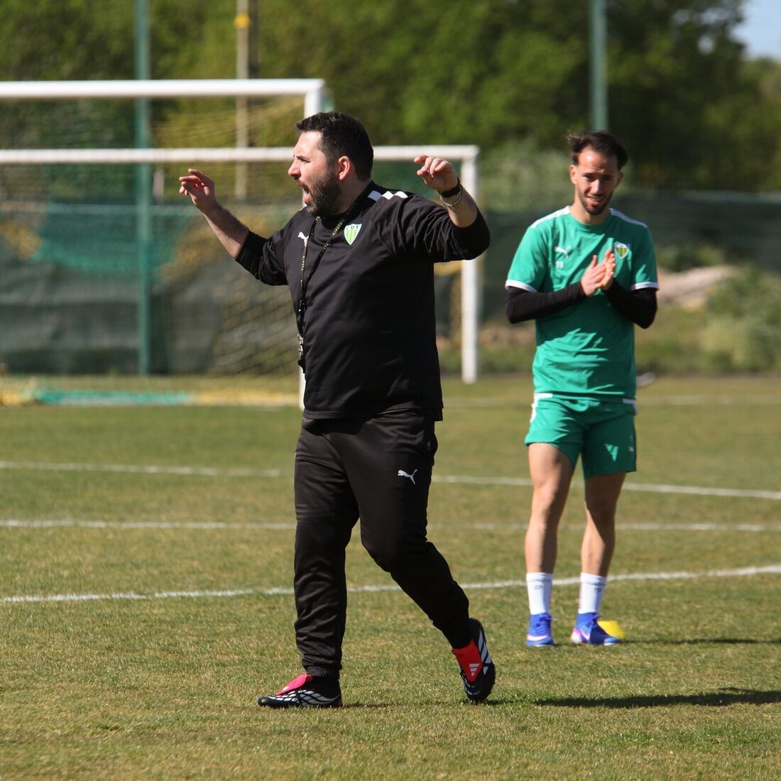 Gonçalo Feio, Tondela