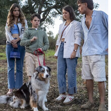 Na série Terra Forte, Vini, Babi e Eva procuram Vivi com a ajuda do cão Bingo