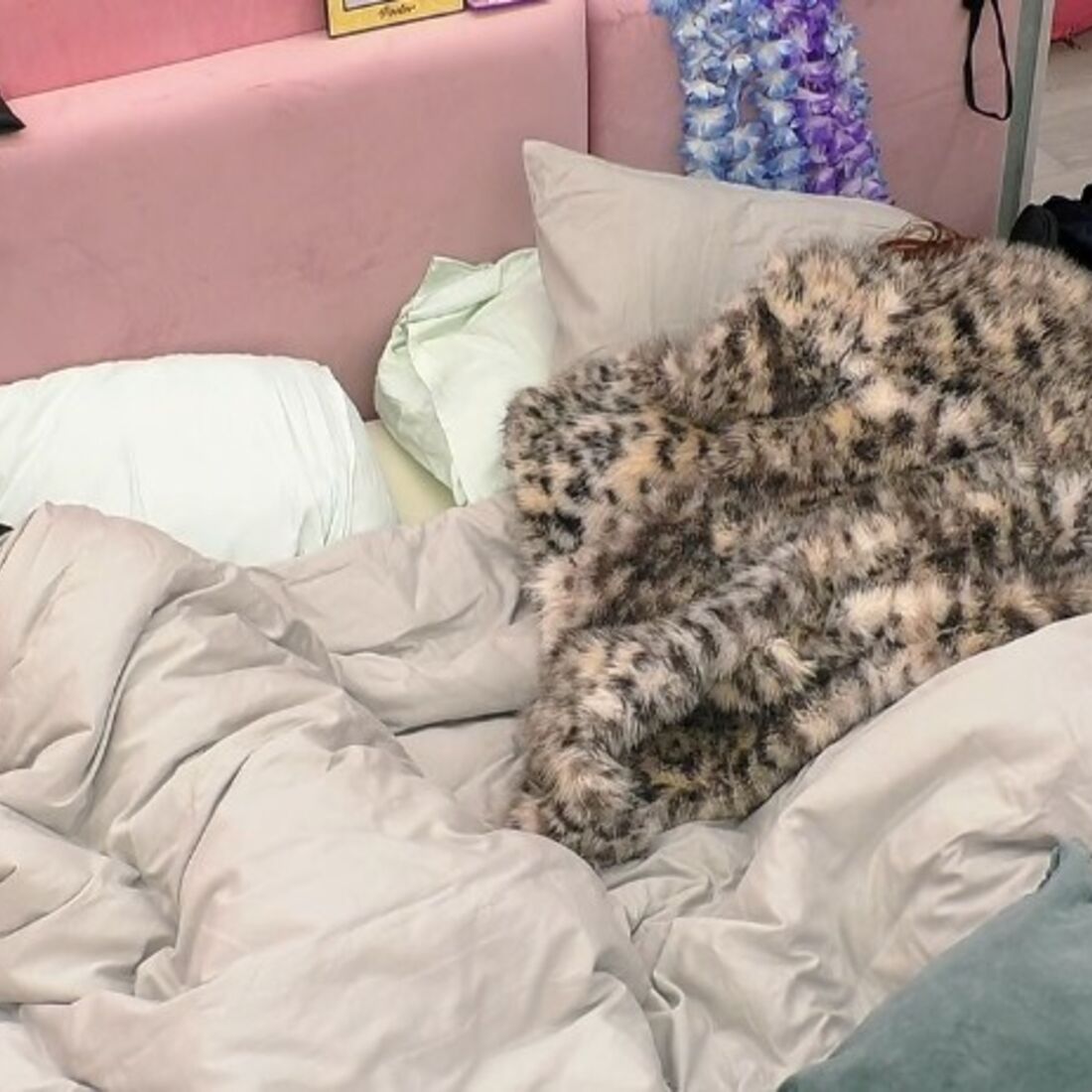 Tiago dorme na Casa dos Segredos após mudanças de Jéssica gerarem discórdia