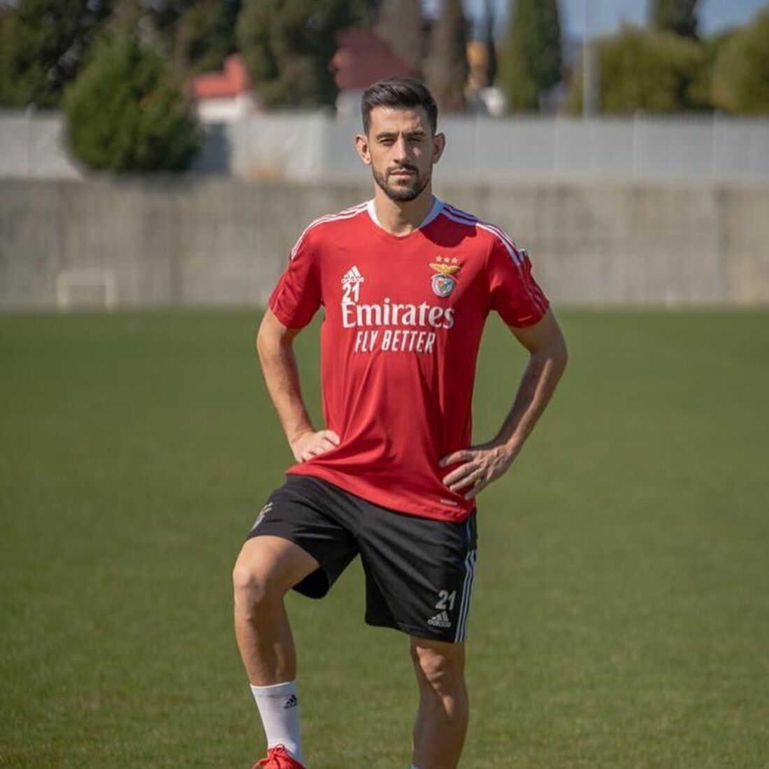 Pizzi