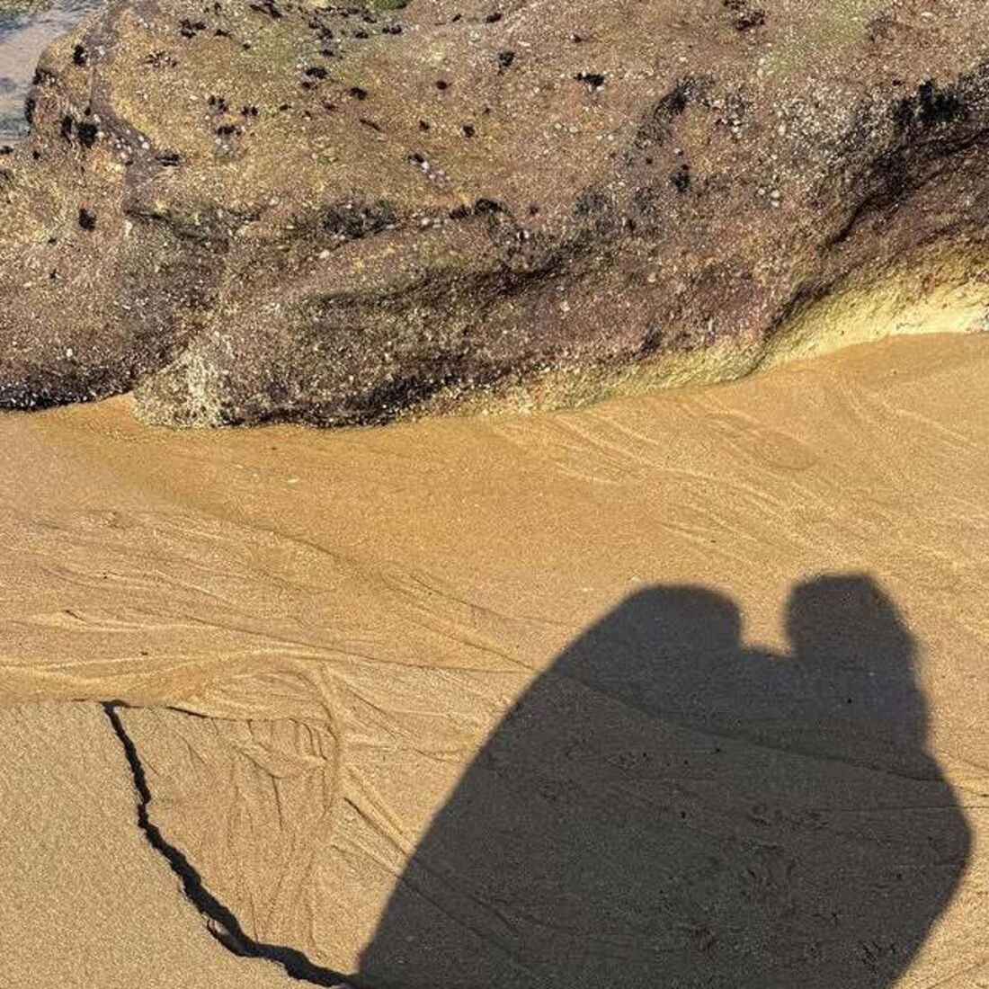 Cristina Ferreira e João Monteiro
