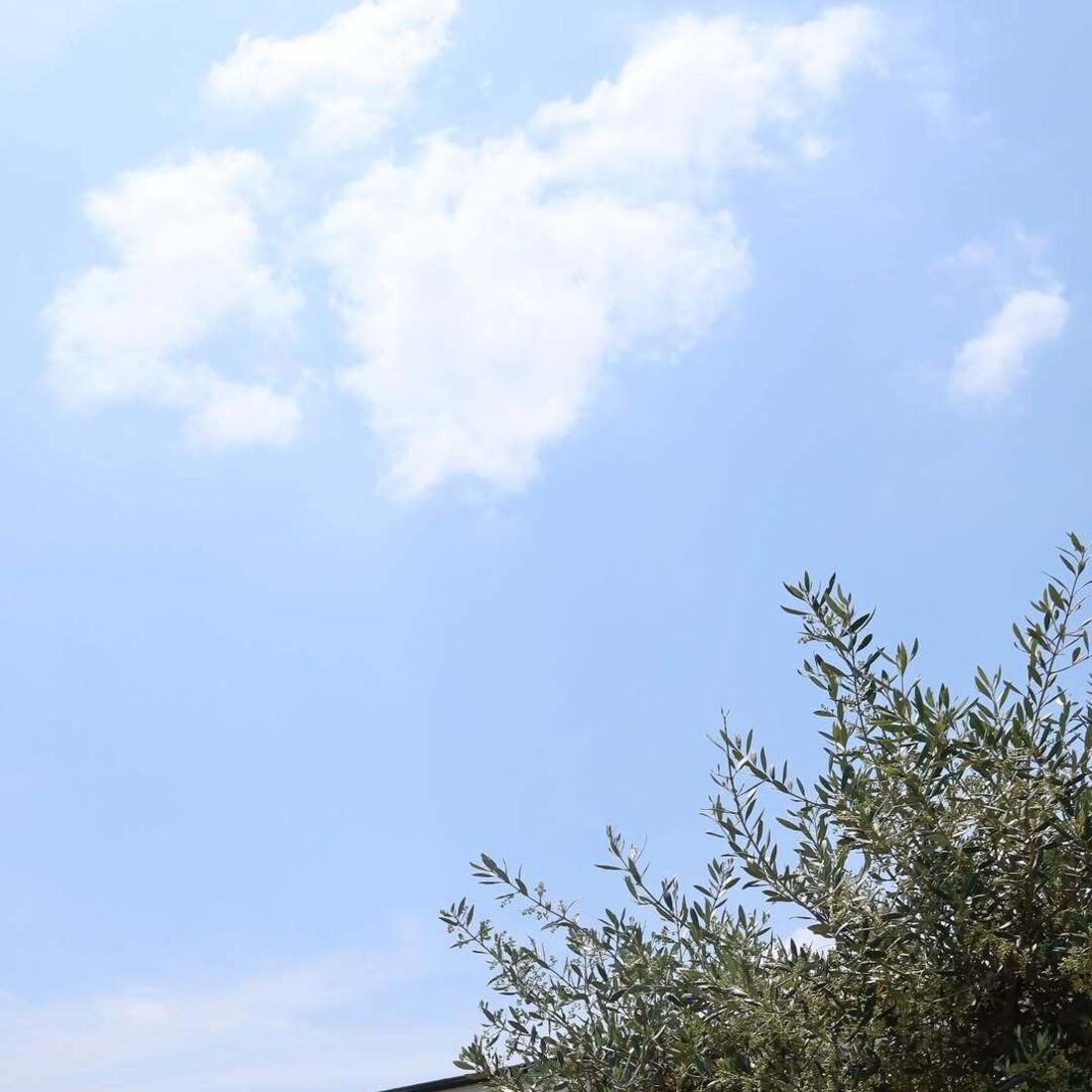 Júlia Palha celebra despedida de solteira com amigos e o futuro marido