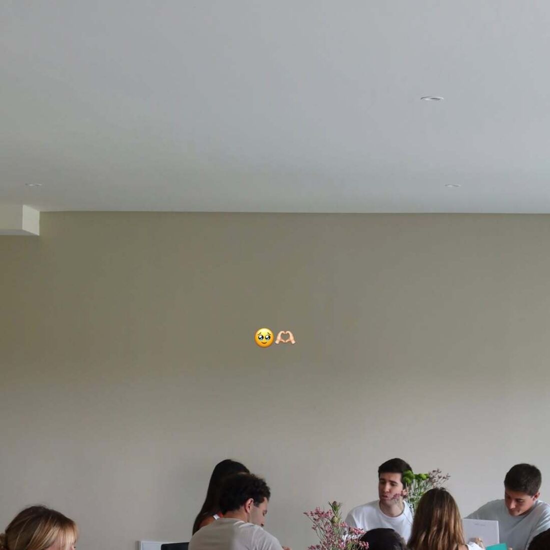 Júlia Palha celebra despedida de solteira com amigos e futuro marido