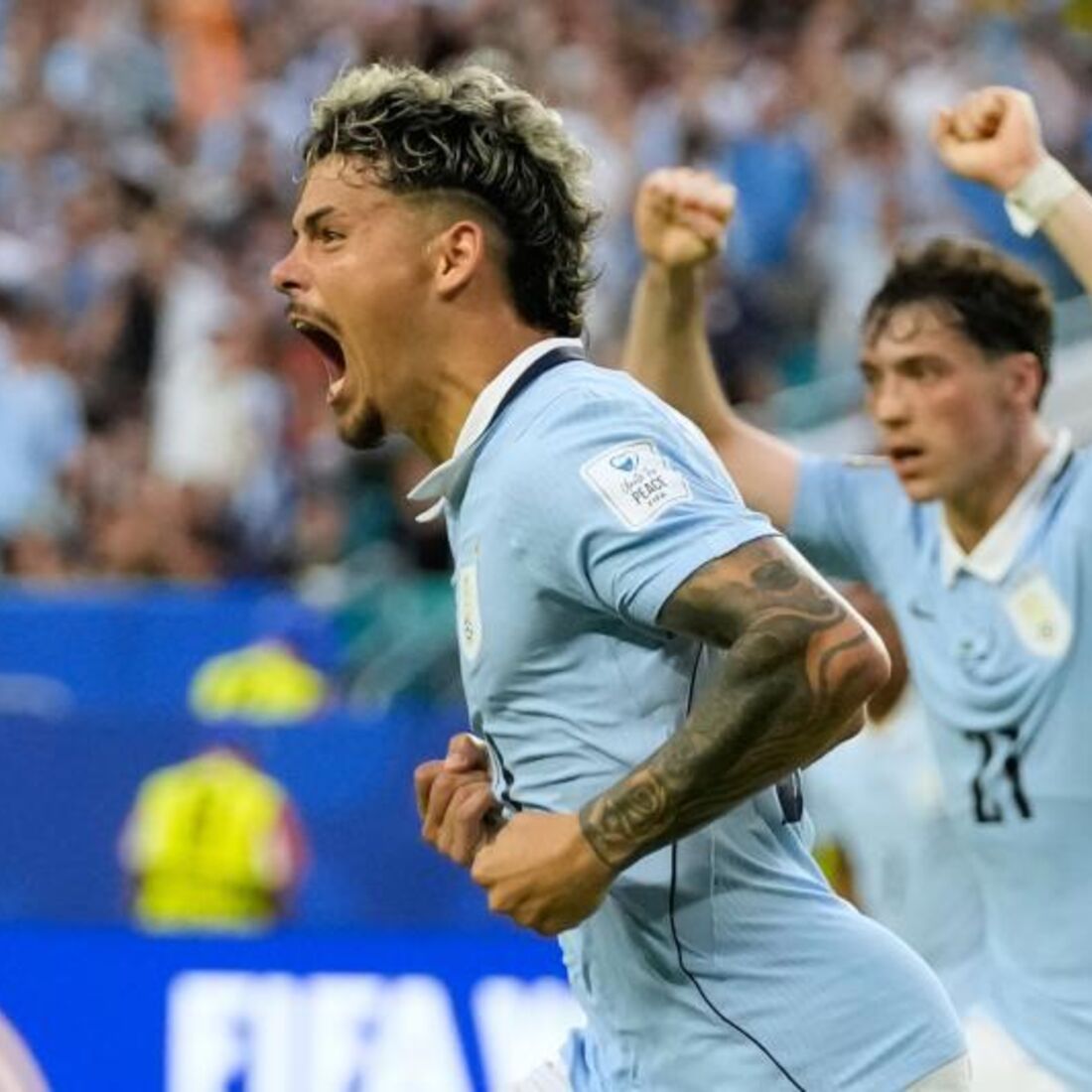 Maxi Araújo