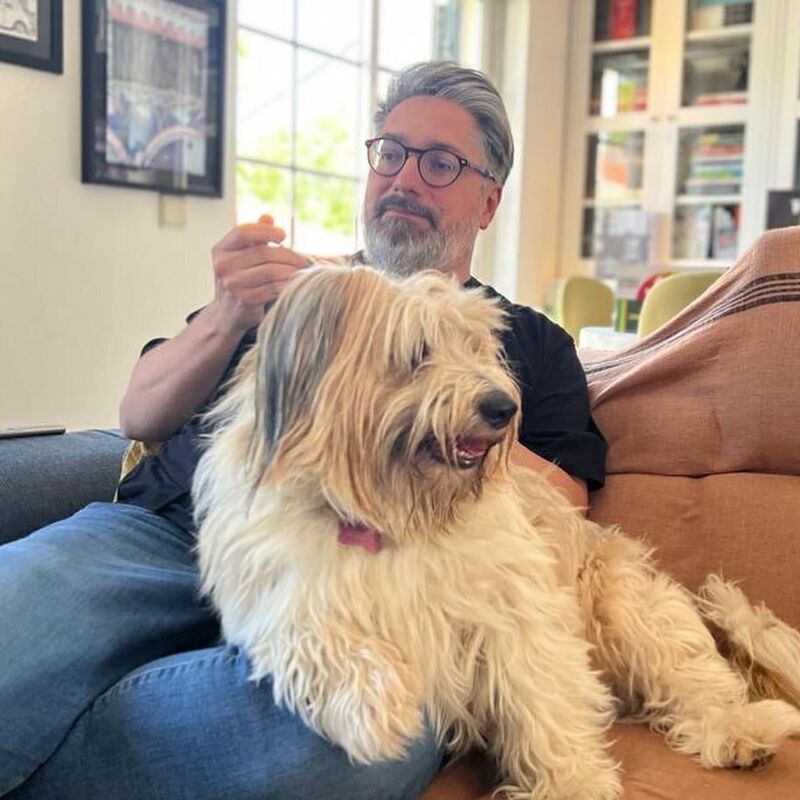 Quem é a cadela Chiclete que parece ter pressentido o AVC do dono, Nuno Markl?