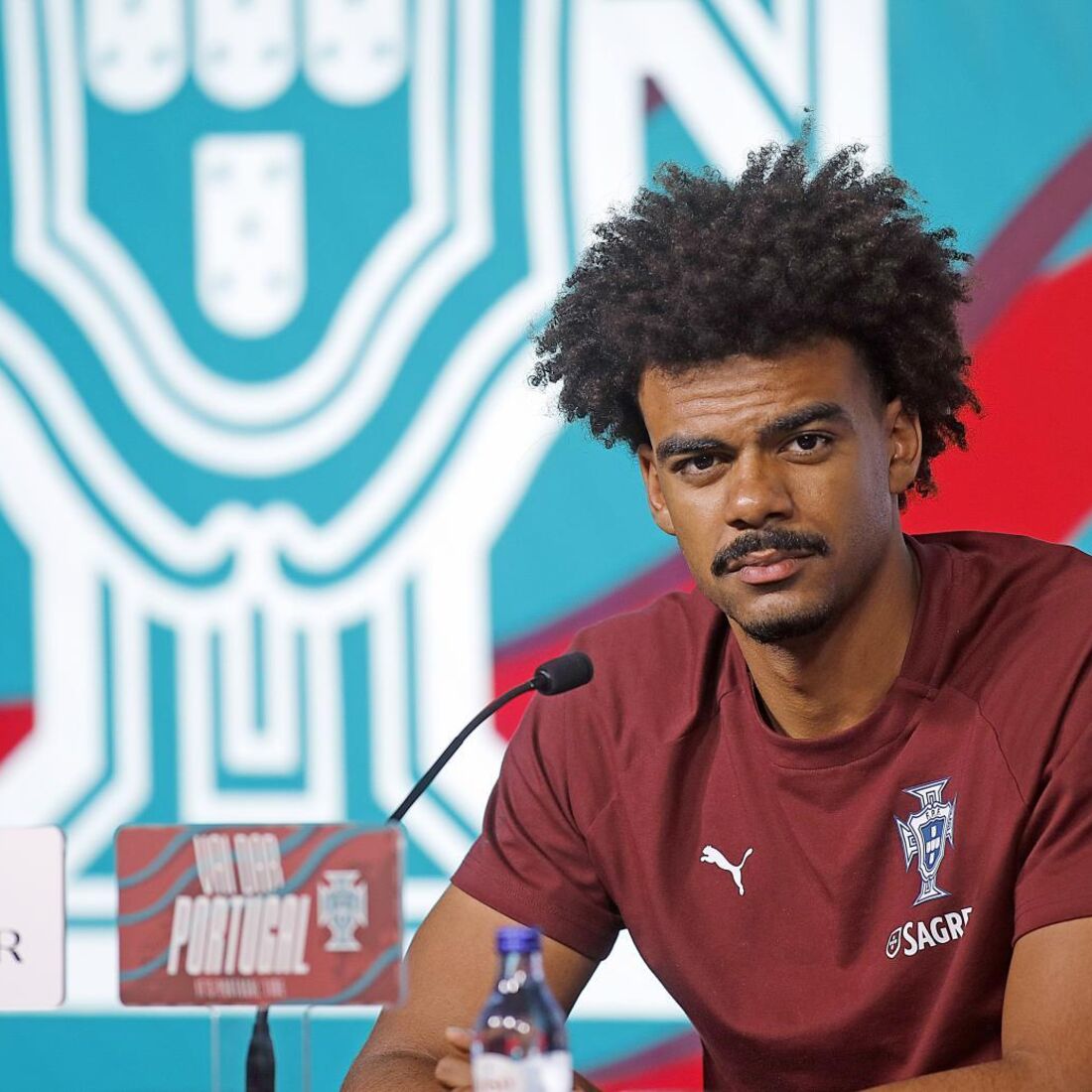 Renato Veiga