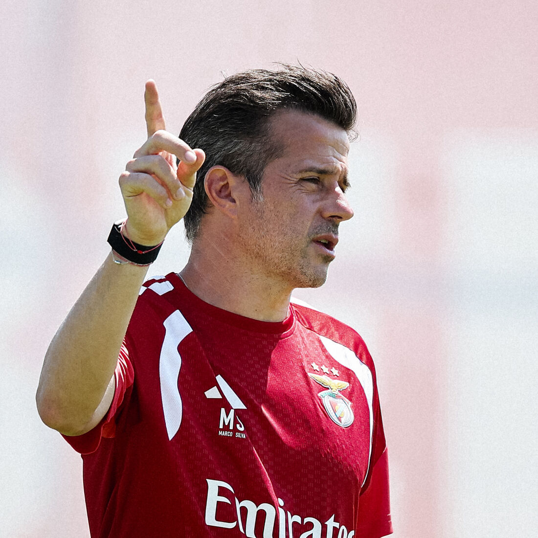 Marco Silva, Benfica