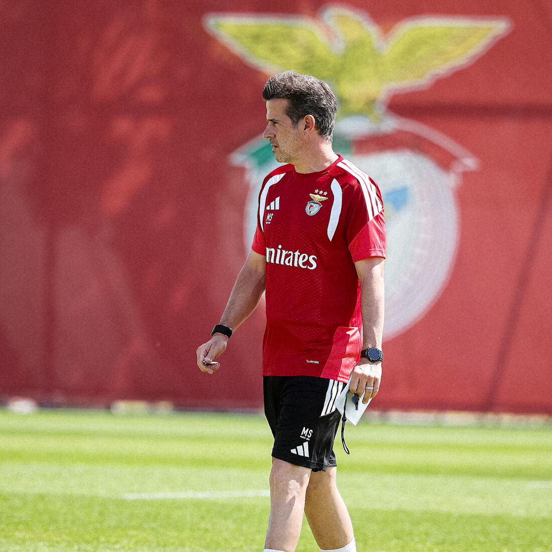 Marco Silva, Benfica