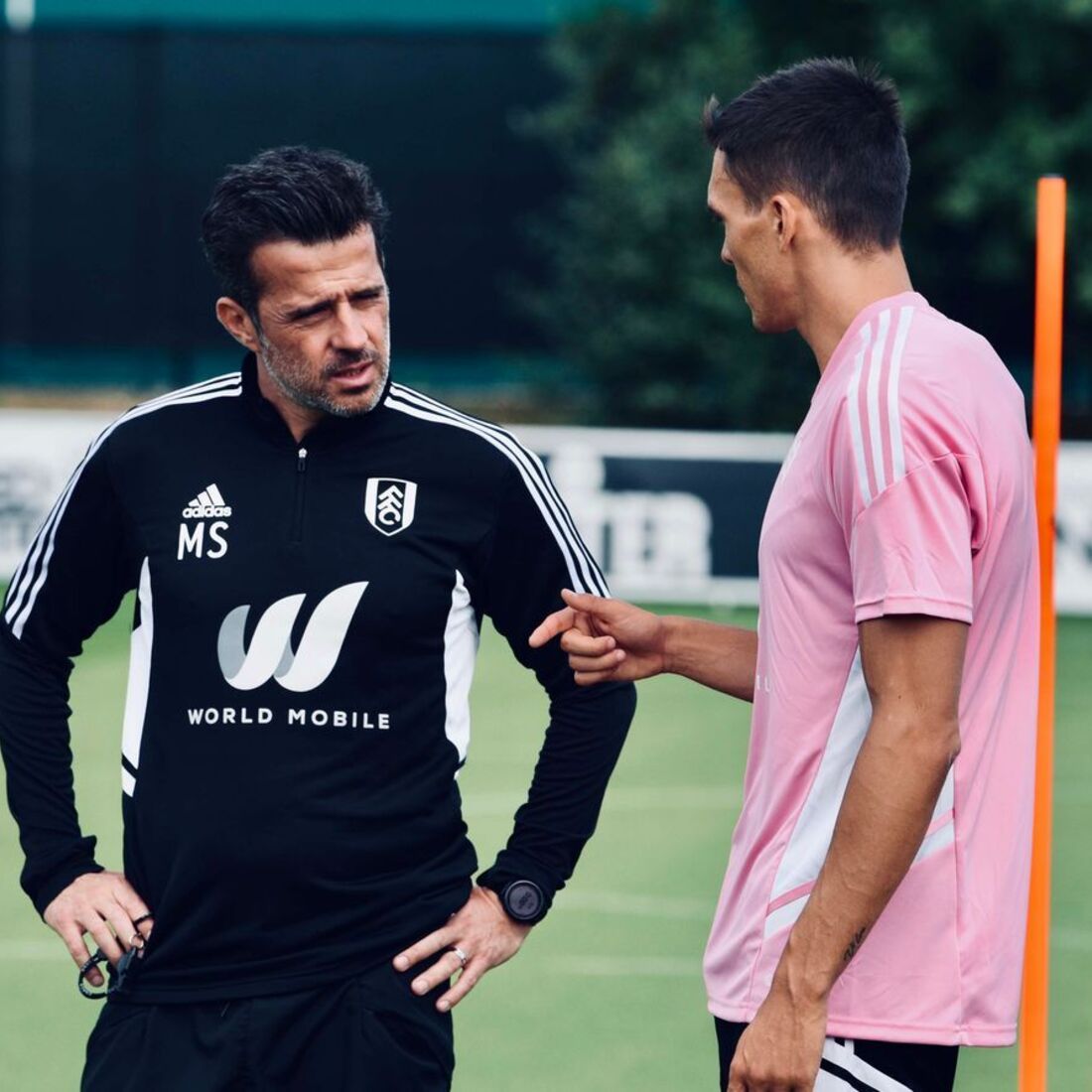 Marco Silva, João Palhinha
