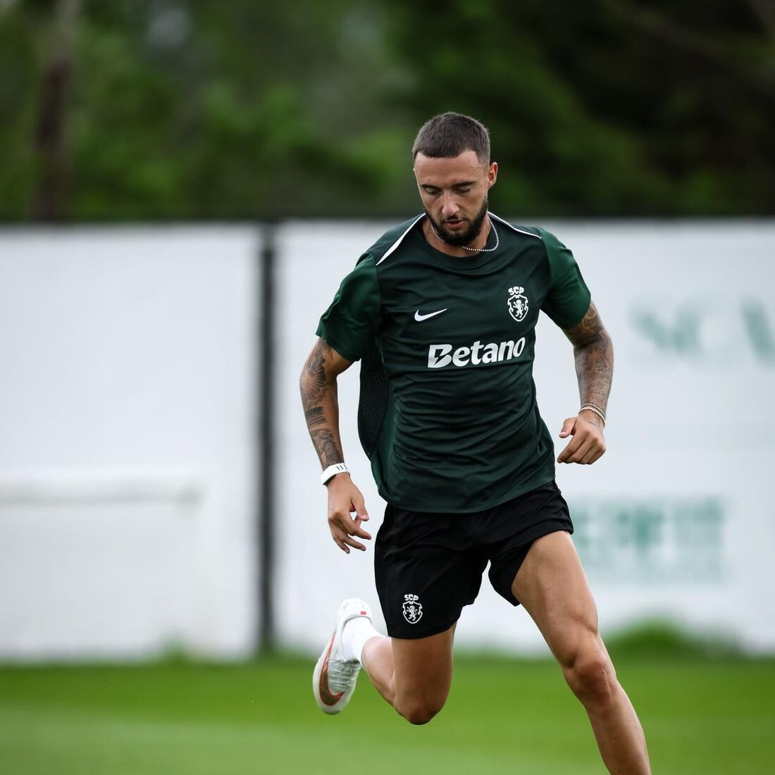 Zeno Debast