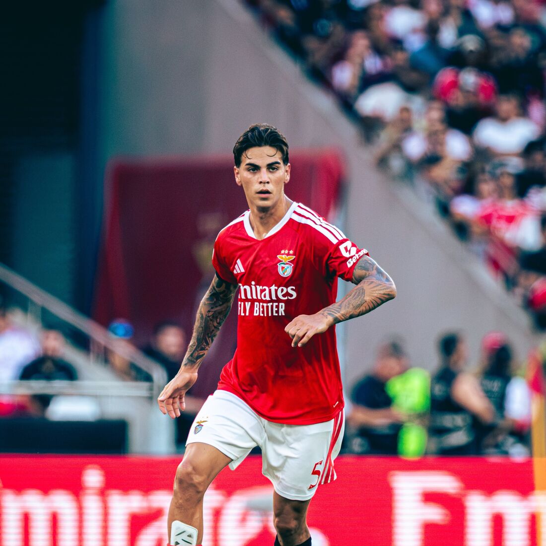 Enzo Barrenechea