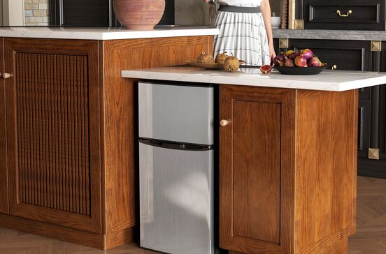 Frigorífico Homcom Mini Fridge de 88 Litros